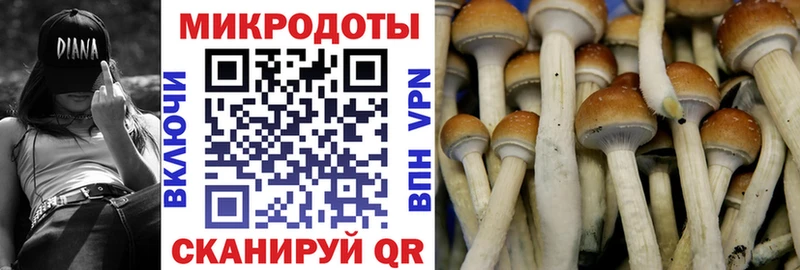 Галлюциногенные грибы Psilocybe  Вытегра 