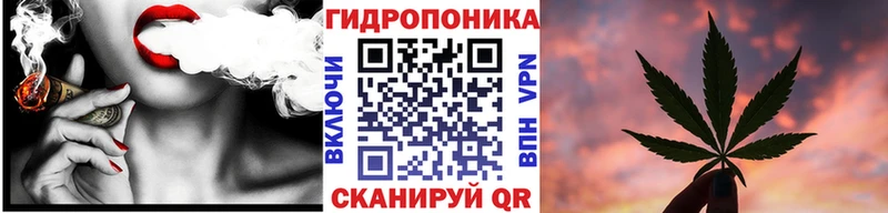 Конопля VHQ  Вытегра 